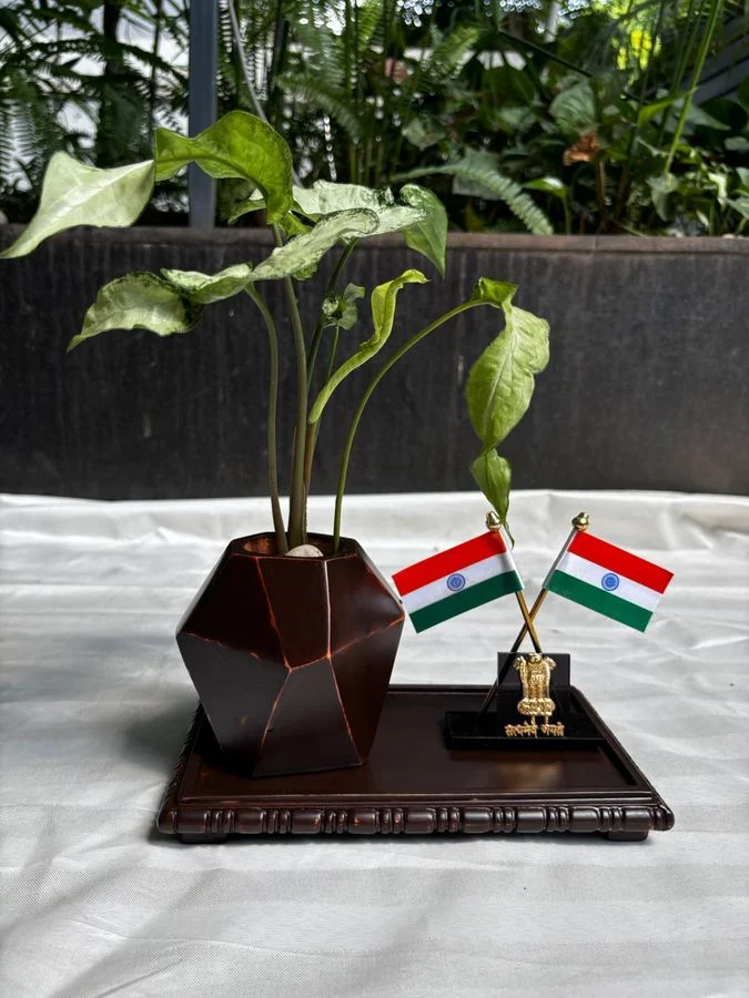 Wooden desk organiser with flags and a planter