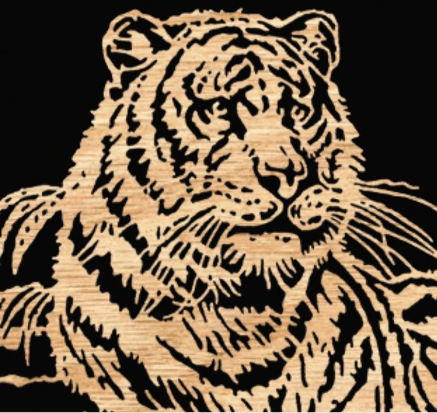 Full-length tiger panel photographed against black